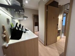 Mount Elizabeth Link (D9), Apartment #475553591